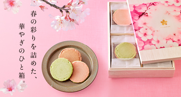 �t�M�t�g�Z�b�g�yBE-467�z