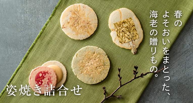 �p�Ă��l�ߍ��킹