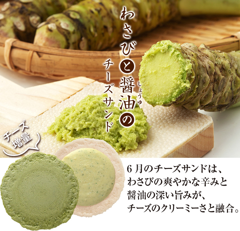 わさびさん専用 わさび99様専用 ② 【公式通販】