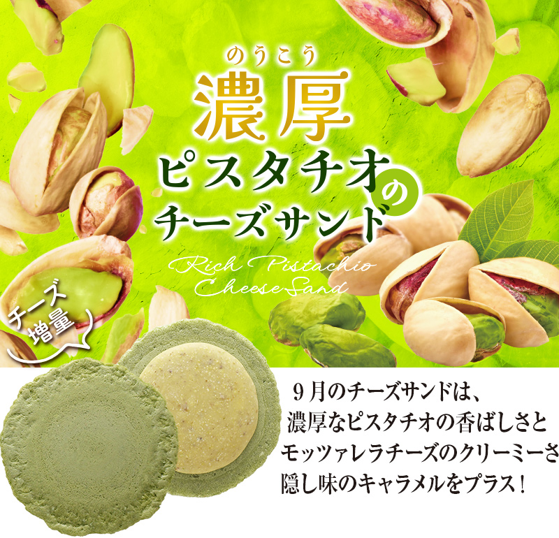 2024年9月限定チーズサンド「濃厚ピスタチオ」 えびとチーズの