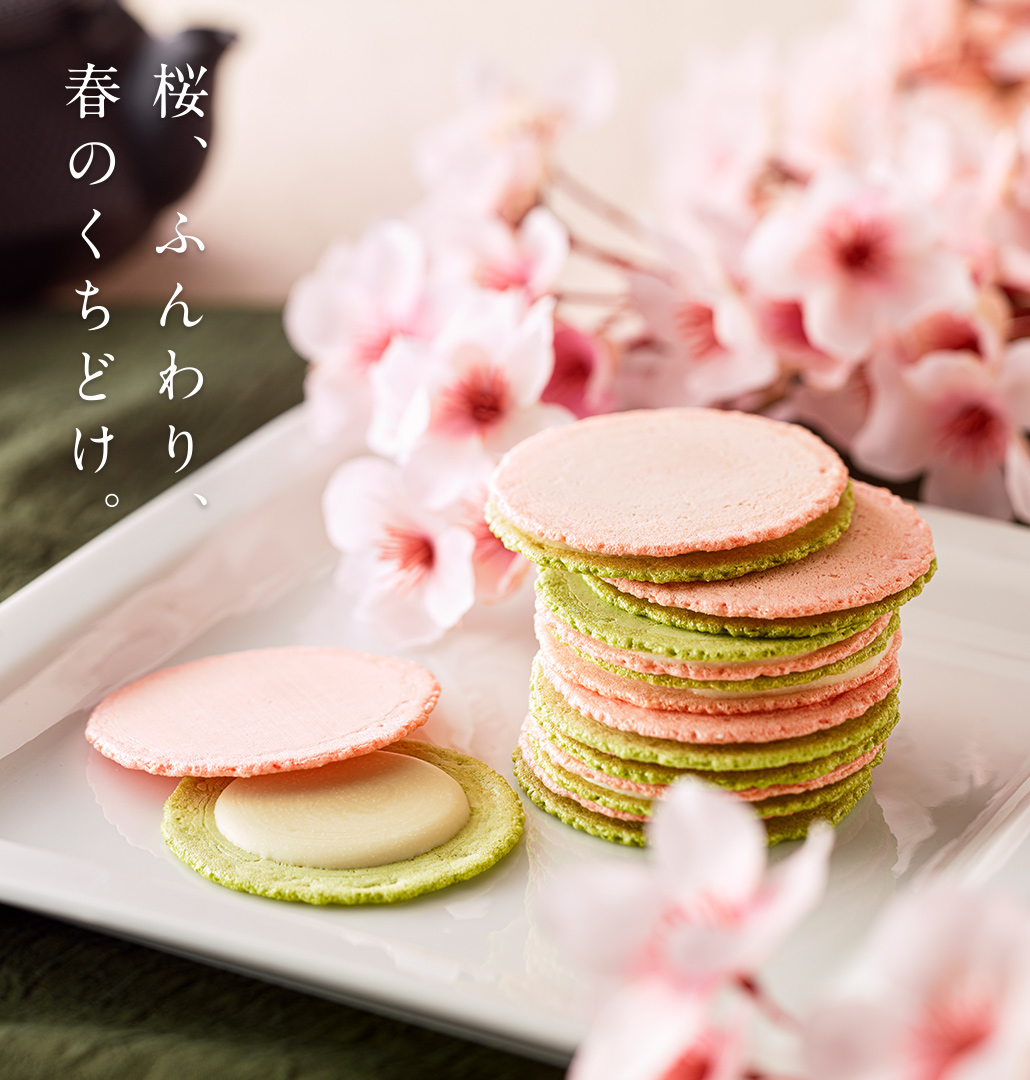 チーズ様 まとめ売り② 春のチーズサンド2026 えびとチーズの専門店SHIMAHIDE