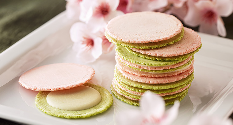 �t�̃`�[�Y�T���h