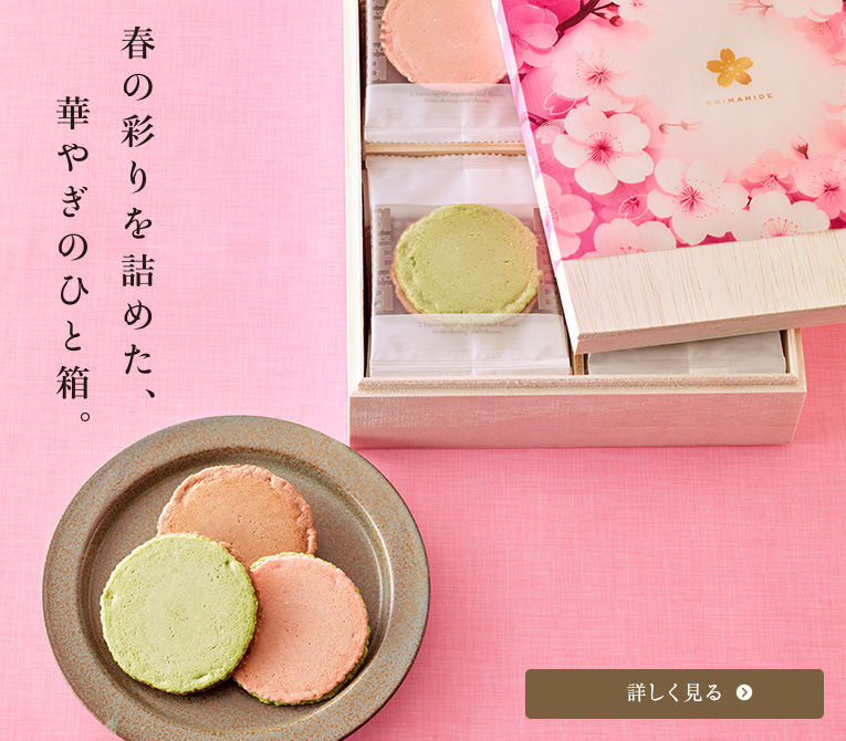 �t�M�t�g�Z�b�g�yBE-444�z